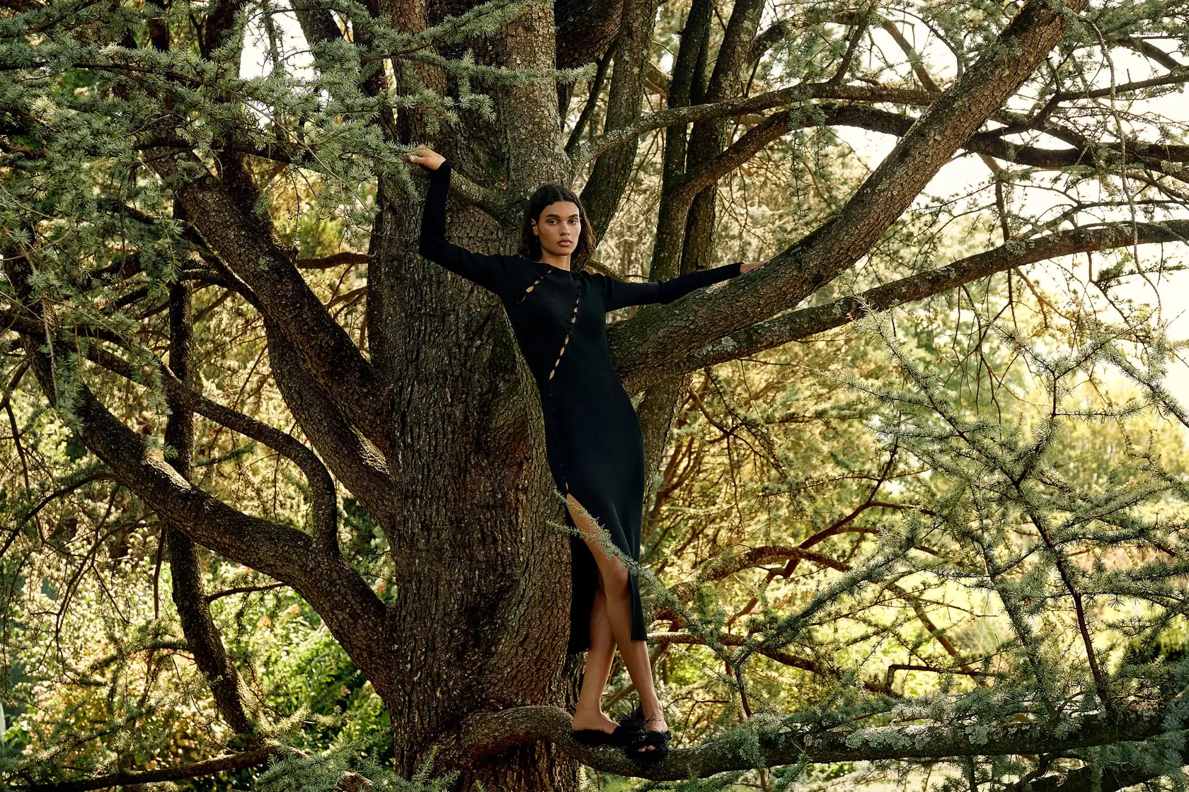Model in a black long-sleeve midi dress with gold trim standing on the branches of a large cedar tree, for Altuzarra.